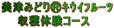 美津みどりⓇキウイフルーツ 収穫体験コース