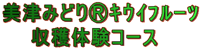 美津みどりⓇｷｳｲﾌﾙｰﾂ 　　収穫体験コース